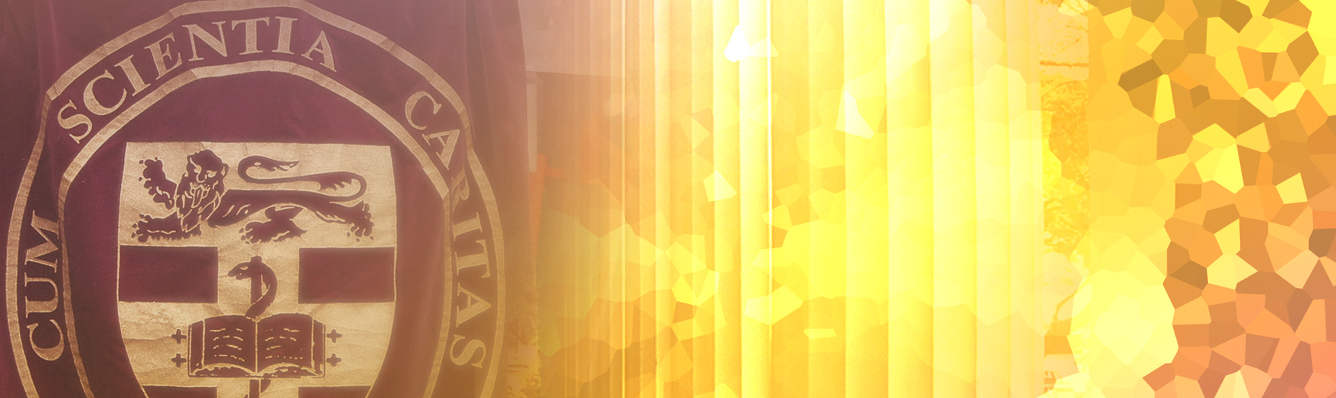 website-banner_Constitution